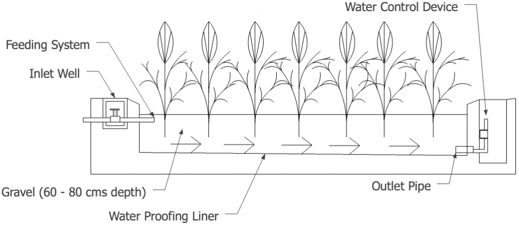 Horizontal Flow (HF) Constructed Wetland (CWs)
